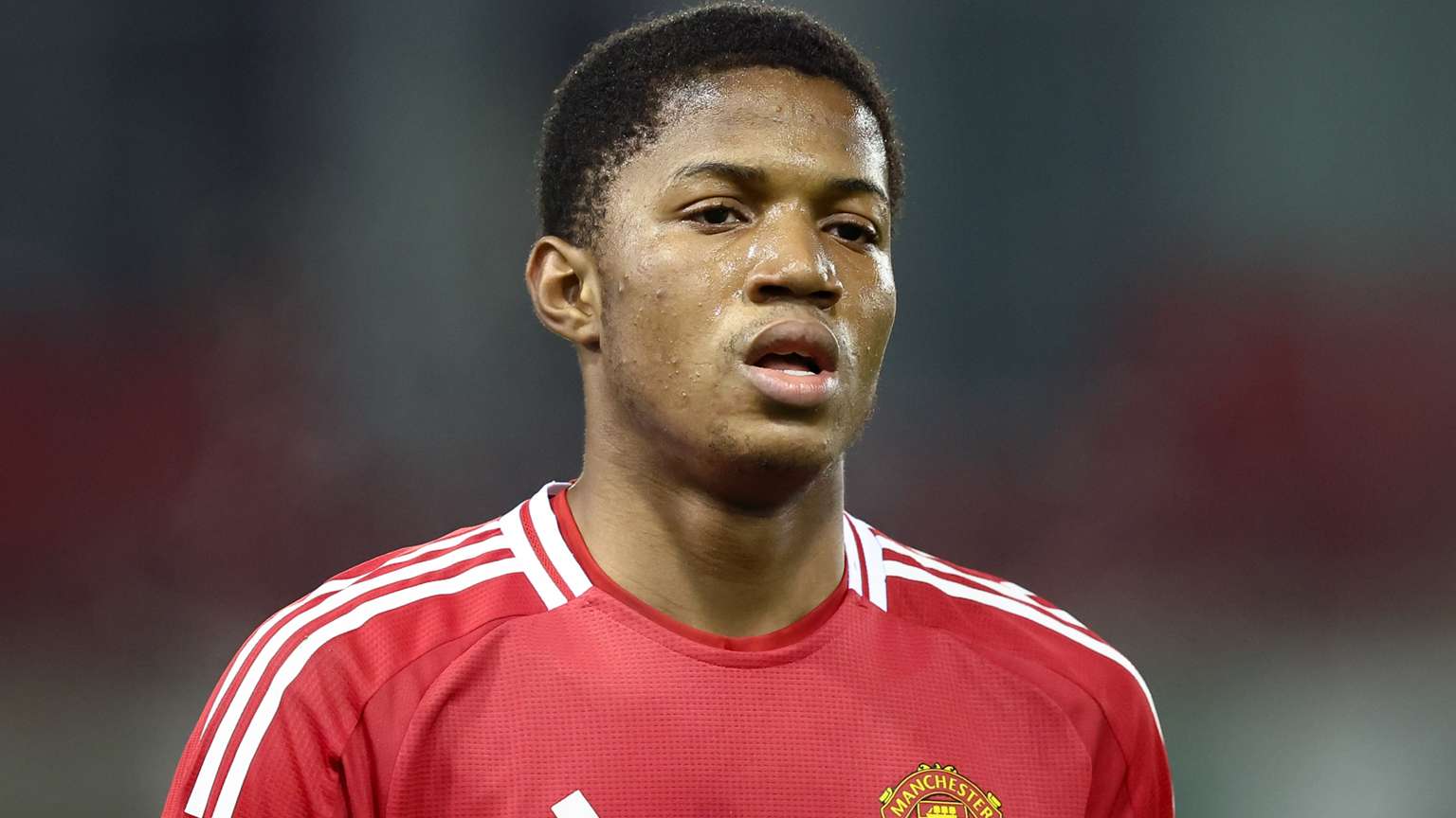 不仅是对其 不仅是对其